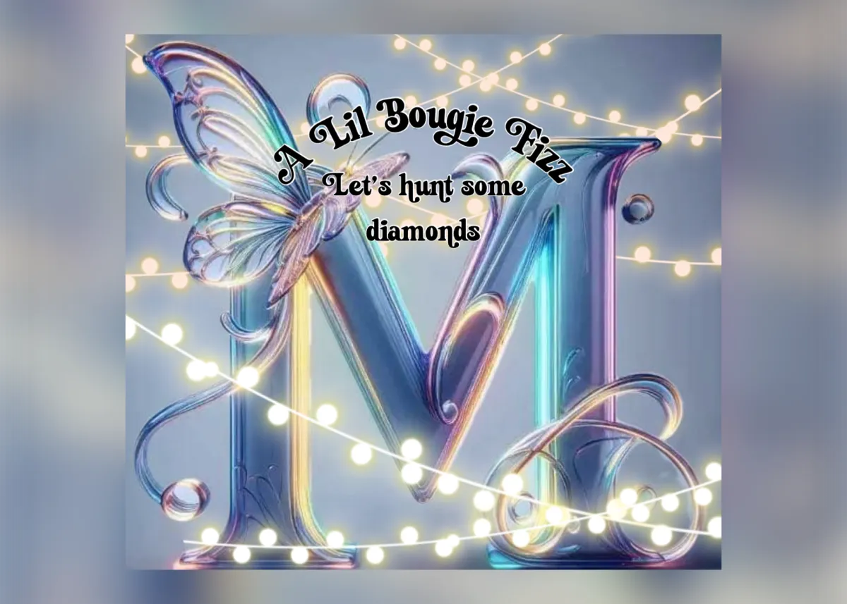 Missy~A Lil Bougie Fizz ✈️✈️ Cover